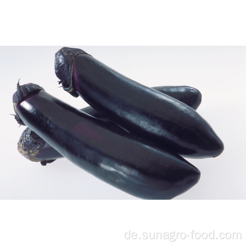 Organische frische und scharfe Aubergine